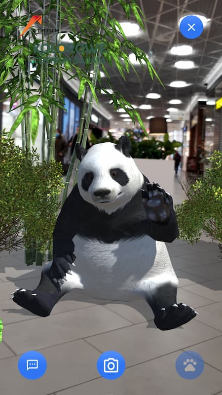 App screenshot showing an animal challenge