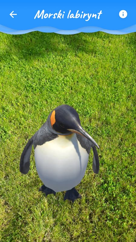 App screenshot of a rescue task